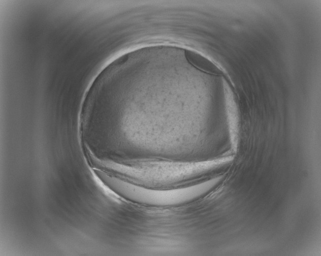 X0000069811535200606091822