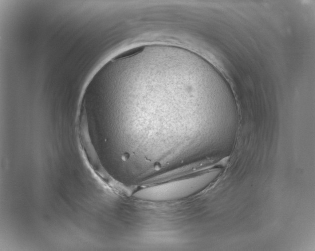 X0000069811536200606091822