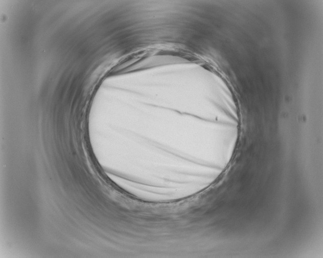 X0000069810001200606161901