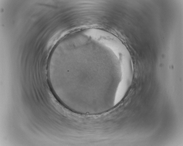 X0000069810002200606161901