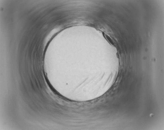 X0000069810003200606161901