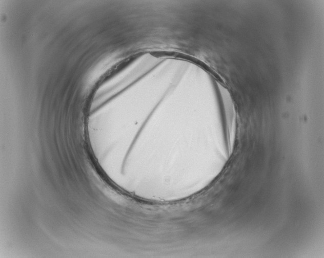 X0000069810005200606161901