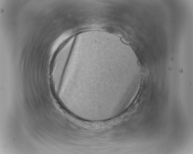 X0000069810006200606161901