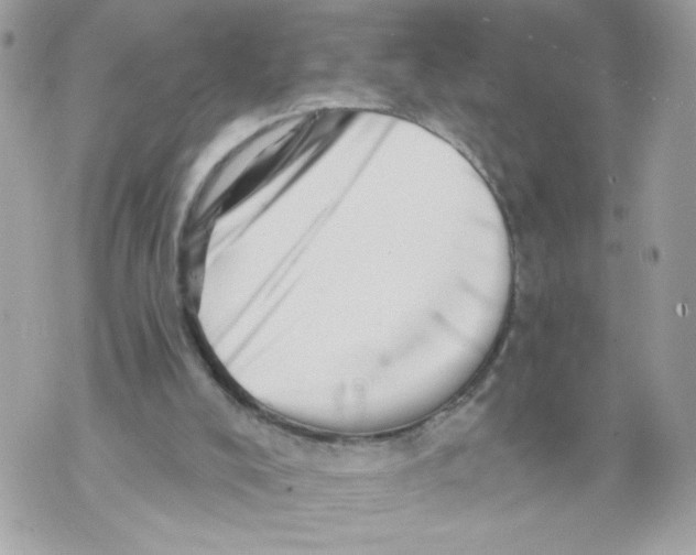 X0000069810008200606161901