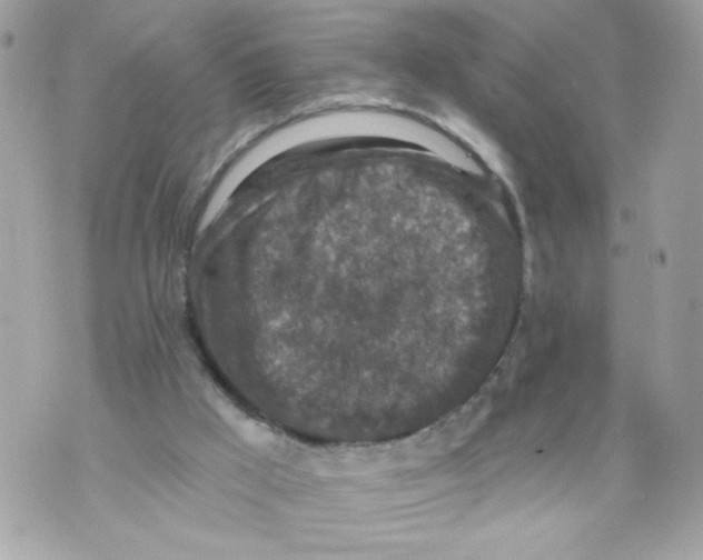 X0000069810009200606161901