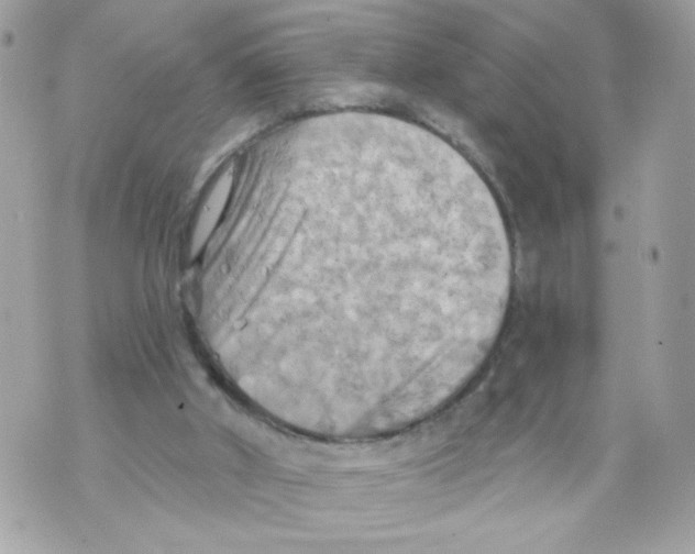 X0000069810010200606161901