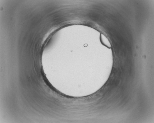 X0000069810011200606161901