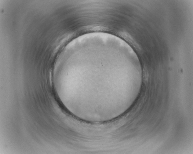 X0000069810014200606161901