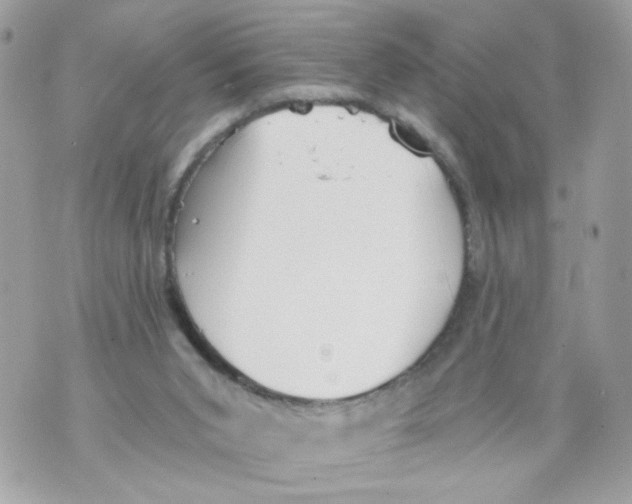 X0000069810015200606161901