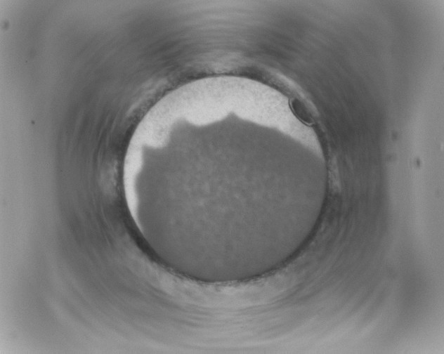 X0000069810018200606161901