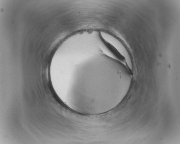 X0000069810019200606161901