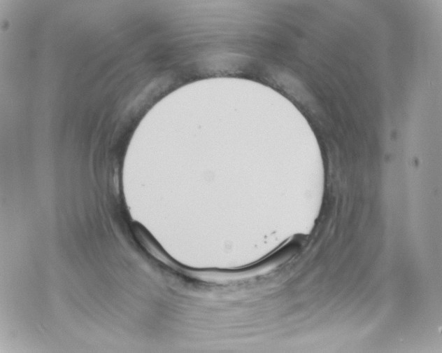 X0000069810021200606161901