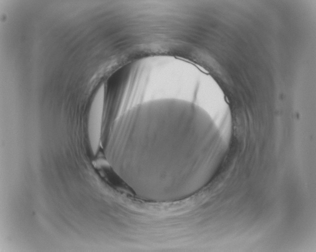 X0000069810023200606161901