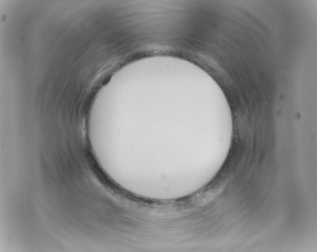 X0000069810024200606161901