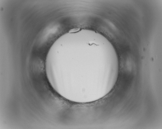 X0000069810025200606161901