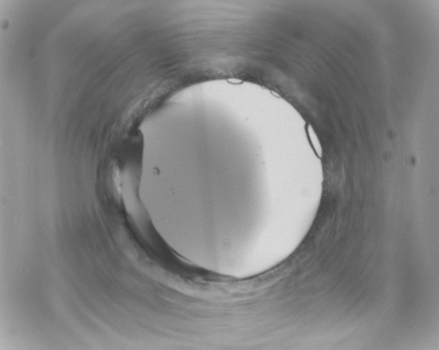 X0000069810027200606161901