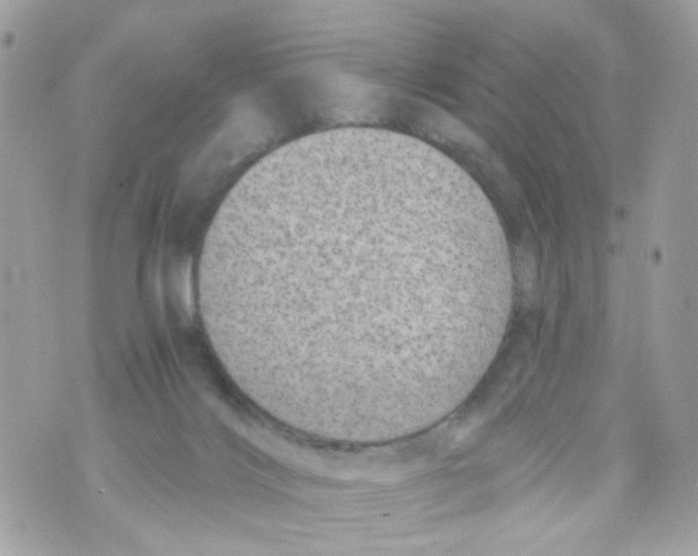 X0000069810028200606161901