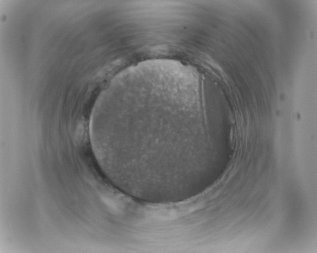 X0000069810029200606161901