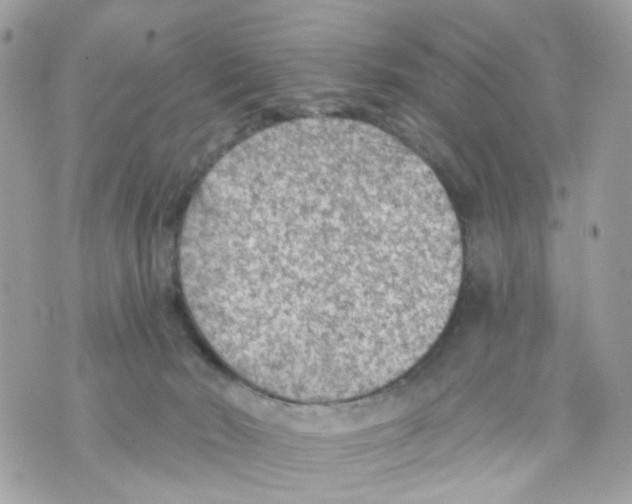 X0000069810030200606161901