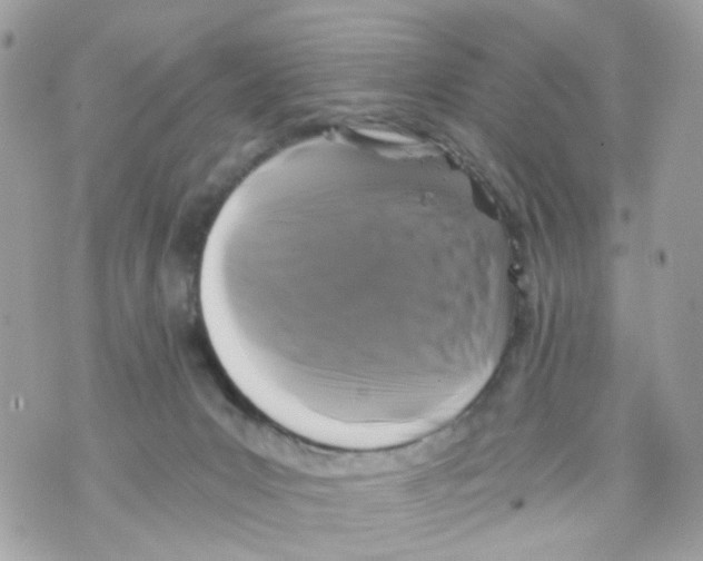 X0000069810031200606161901