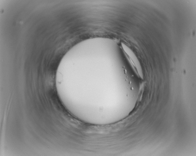 X0000069810033200606161901