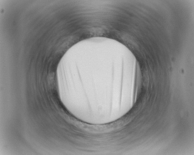 X0000069810034200606161901