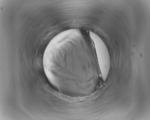 X0000069810035200606161901