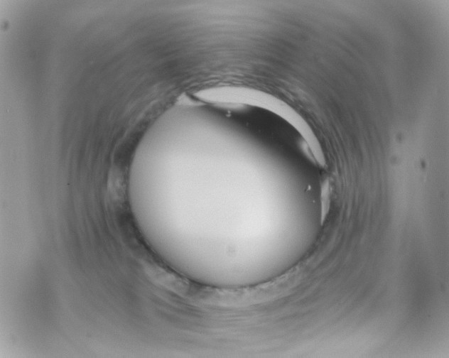 X0000069810037200606161901