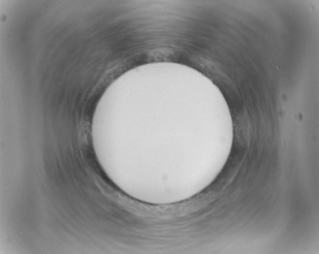 X0000069810038200606161901