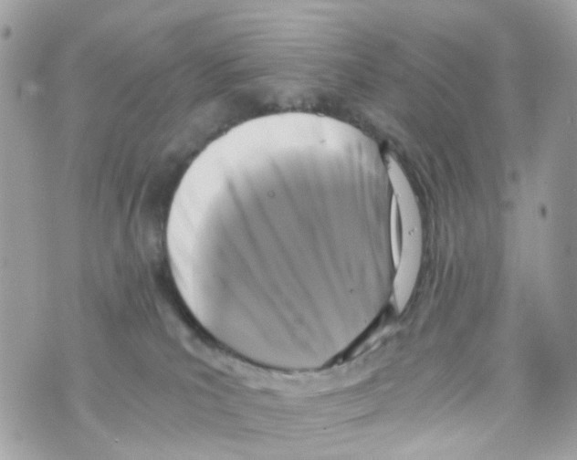 X0000069810039200606161901