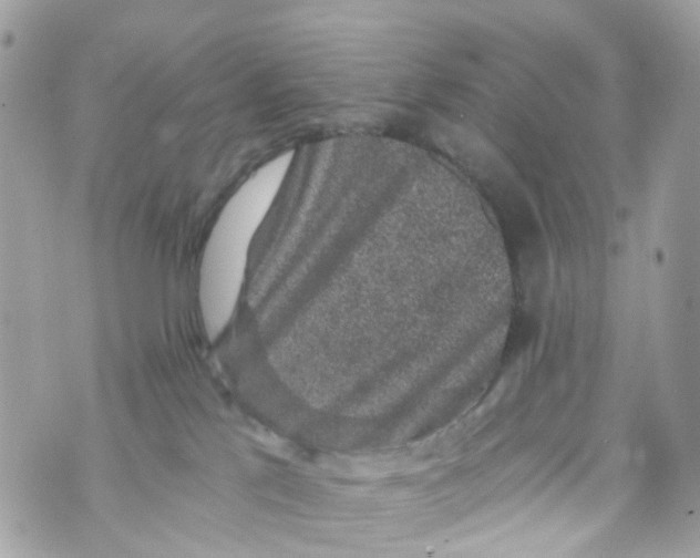 X0000069810041200606161901