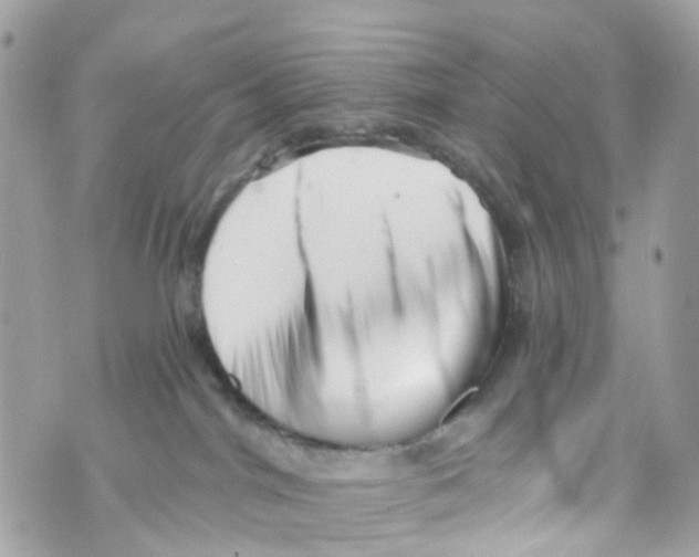 X0000069810044200606161900