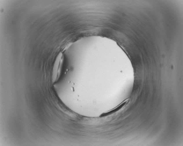 X0000069810045200606161900