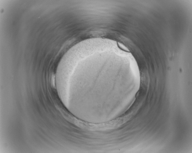 X0000069810046200606161900