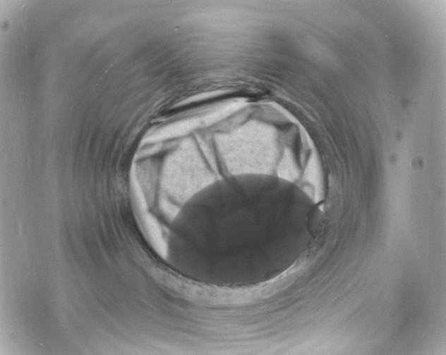 X0000069810048200606161900