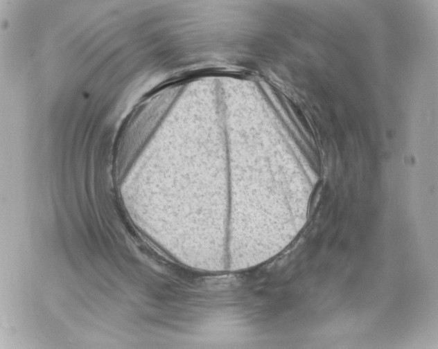 X0000069810050200606161900