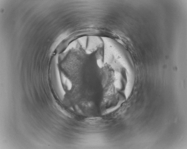 X0000069810051200606161900