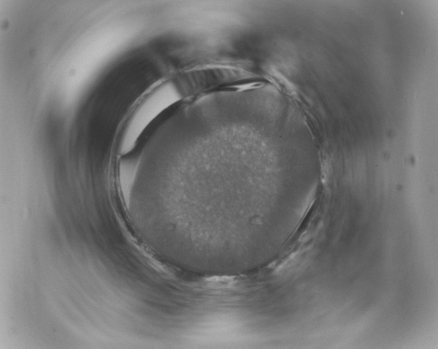 X0000069810052200606161900