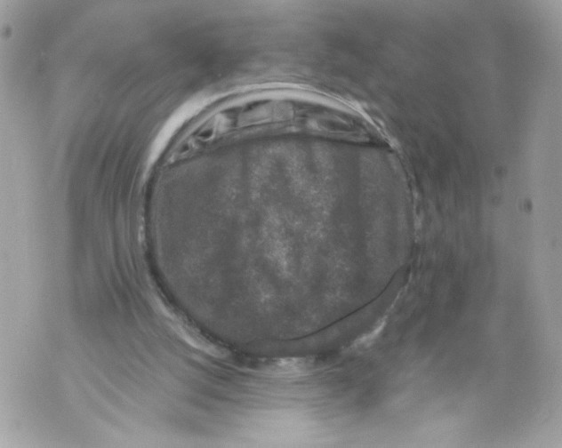 X0000069810056200606161900