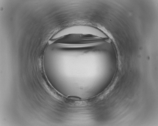 X0000069810057200606161900