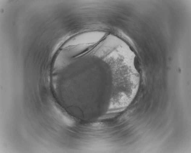 X0000069810059200606161900