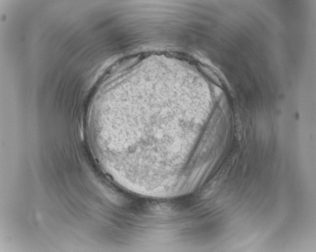 X0000069810062200606161900