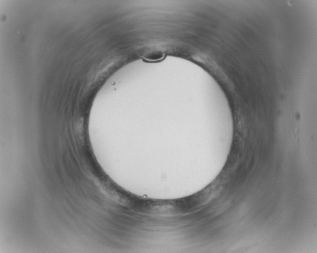 X0000069810066200606161900