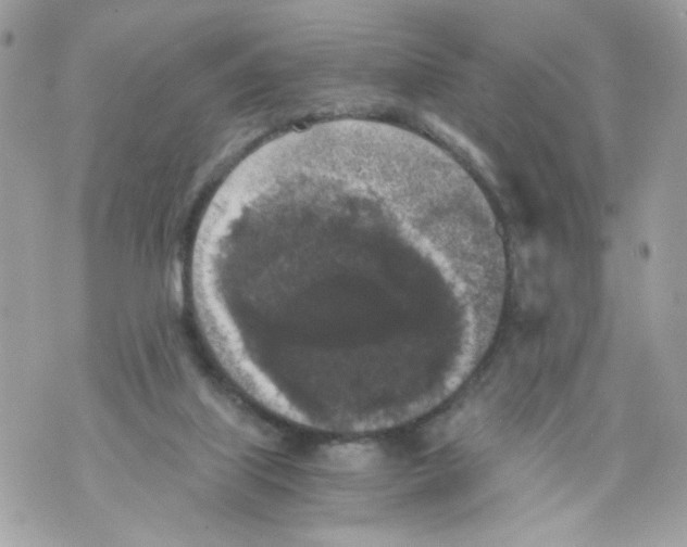 X0000069810067200606161900