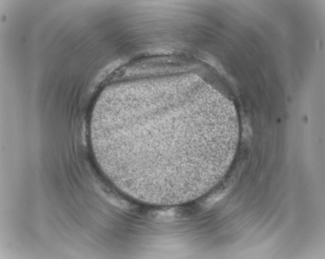 X0000069810068200606161900