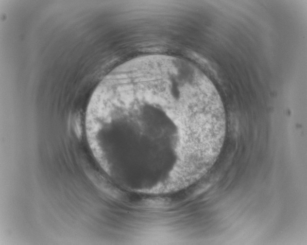 X0000069810069200606161900