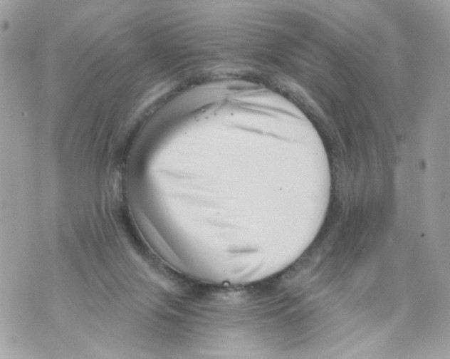 X0000069810071200606161900