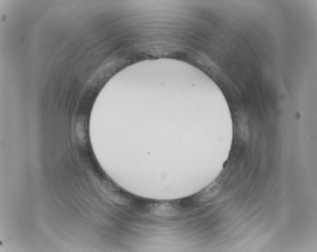 X0000069810074200606161900