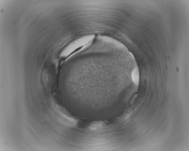 X0000069810076200606161900