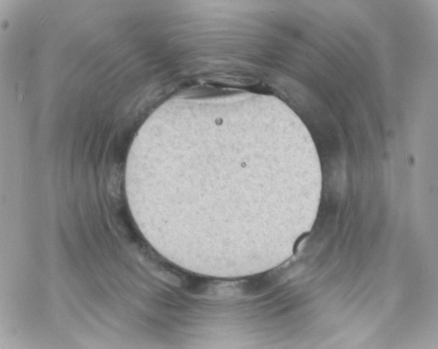 X0000069810078200606161900